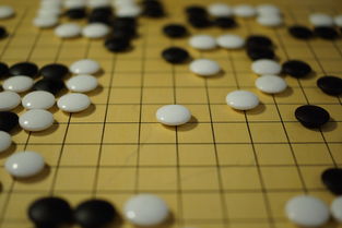 开云竞猜官网-中国篮球教练员战术执行力培养及技能提升方法，篮球教练战术安排