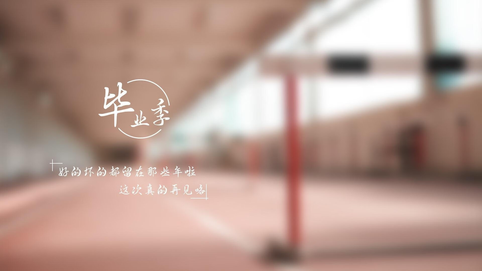 开云娱乐-青少年体育活动组织方案，青少年体育锻炼活动方案