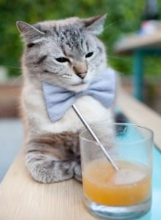 开云体育下载官网-亚洲杯中国队战平 数据分析揭示态势，亚洲杯中国亚军