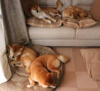 博塔弗戈主打控球,但难撼马竞防线,博塔弗戈ds