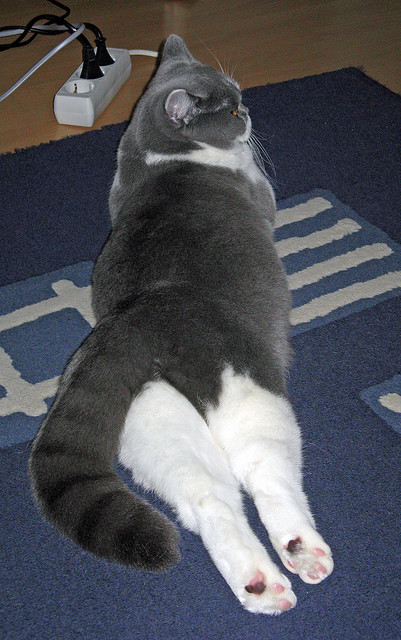 国家队进攻终结手段为何过于依赖突破，国家队进攻终结手段为何过于依赖突破手段