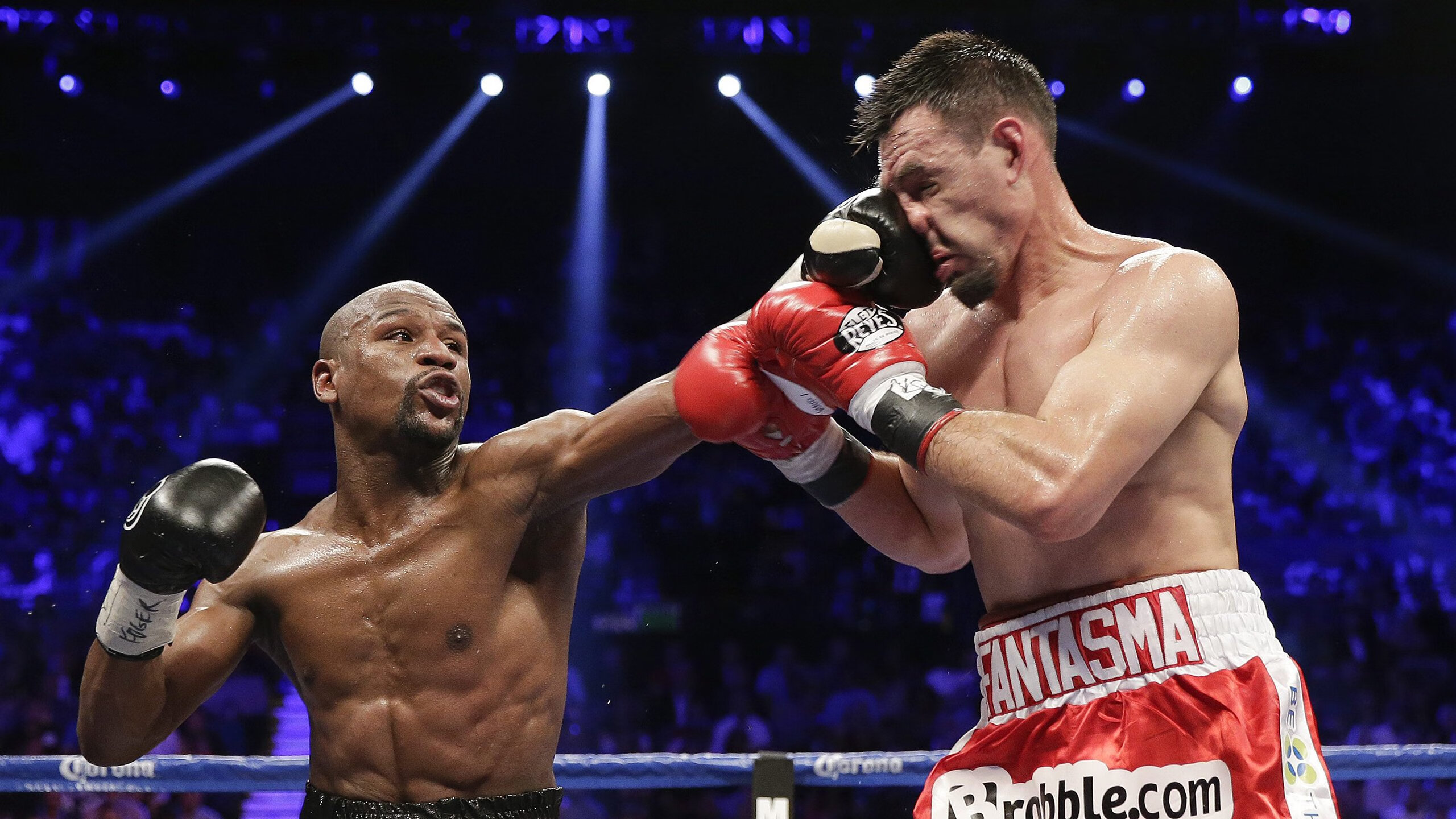 女子蝶泳划频节奏变化曲线对比图，女子蝶泳100