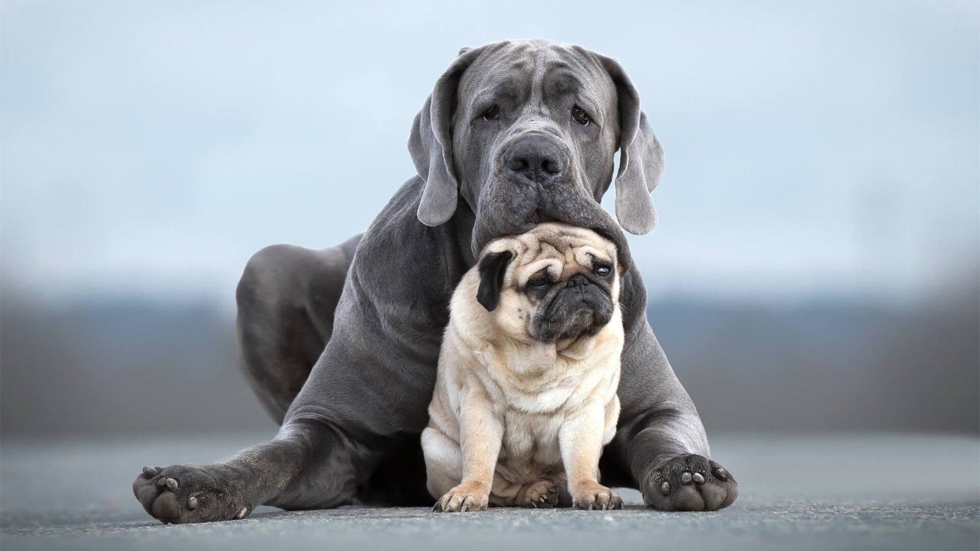 新疆男篮积极转型以快节奏篮球为核心打法,新疆男篮新疆男篮