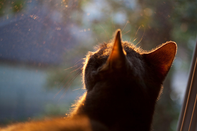 球队是否利用中圈区域制造节奏调控点
