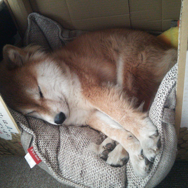 开云体育在线登入-后期攻势虽被扳回，但仍展现团队韧性