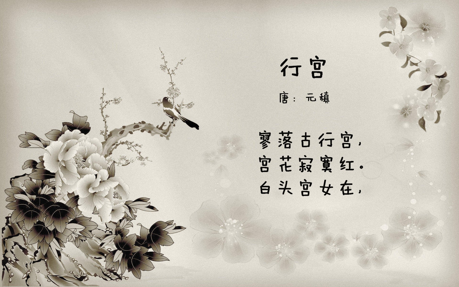 开云官网登录-国际青少年足球合作项目持续深化，推动全球足球青训体系一体化