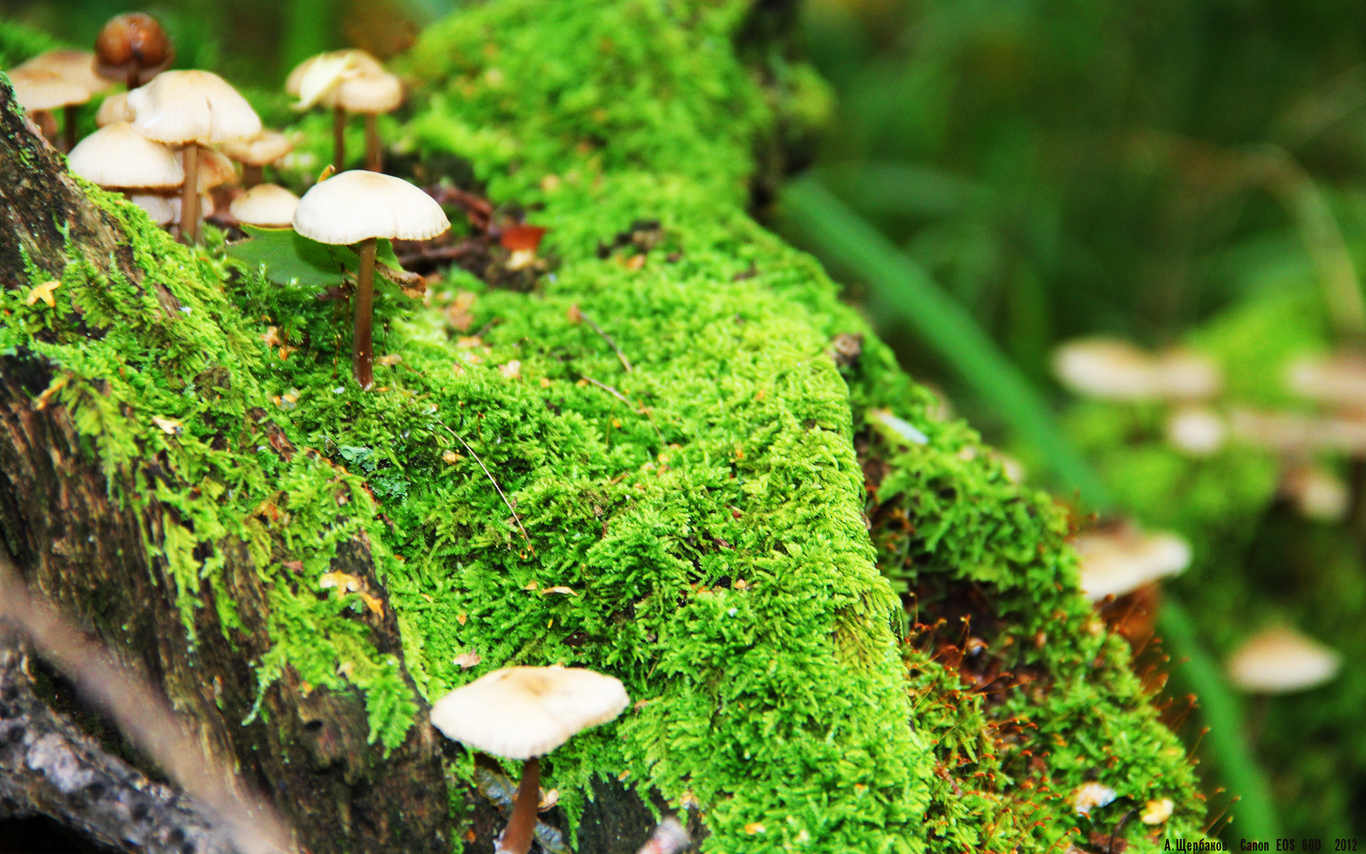 kaiyun官方入口登录-大数据与智能分析助力青少年的个人潜能挖掘与培养，大数据 能力